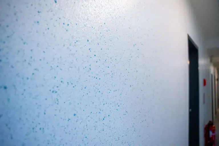 Maier-Quantius